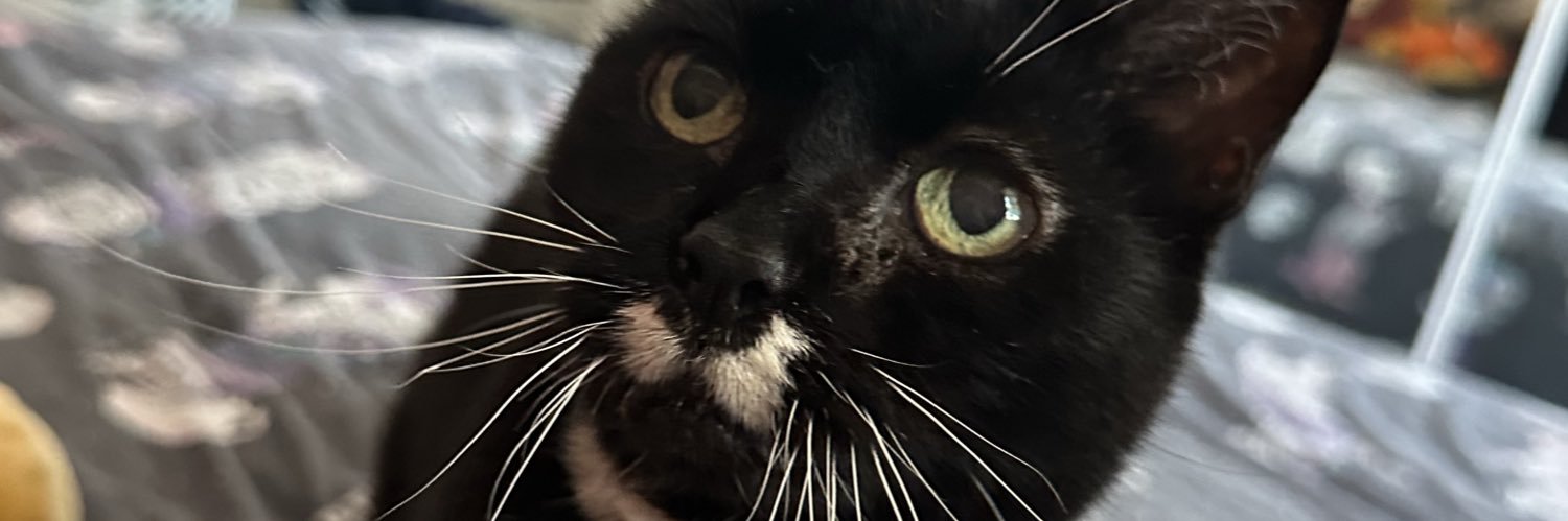 debskeay's profile banner image