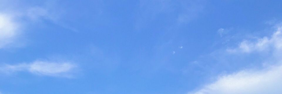Peter Pan•✨ banner