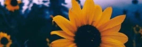 _lovexbre's profile banner image