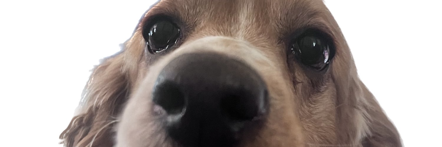 Ju1sito's profile banner image