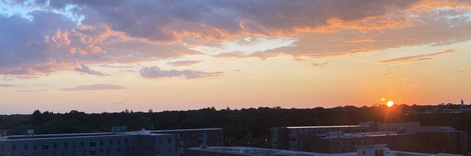 emmasully16's profile banner image