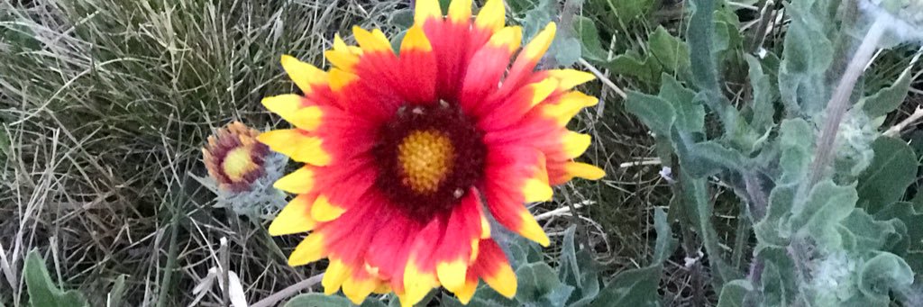 Jennhashert's profile banner image