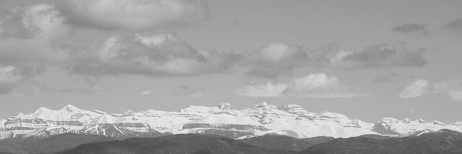 Amadeo Elduque banner