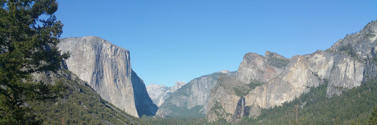 lilyyCatt's profile banner image