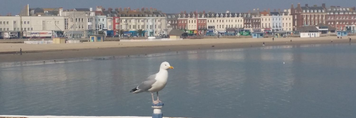 DannyTodClarke banner