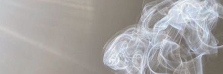 tvlertaylor's profile banner image