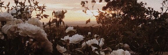 deryadoganx's profile banner image
