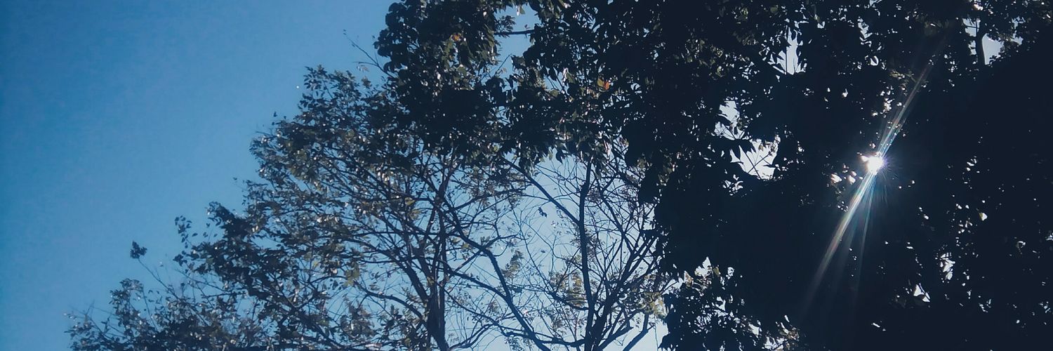ArthurDetorres's profile banner image