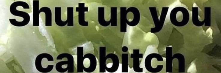 Chelseajolee6's profile banner image