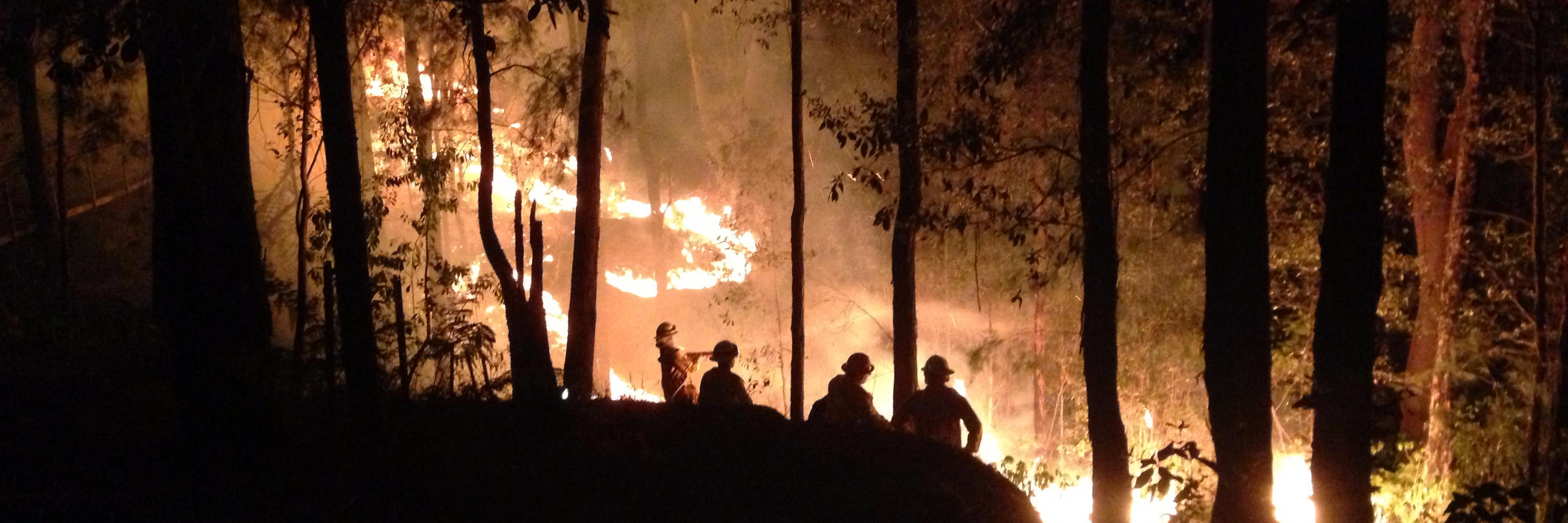 FRNSW_CFU's profile banner image