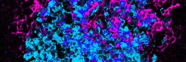 groomlab Profile Banner