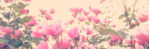 dodah1987's profile banner image