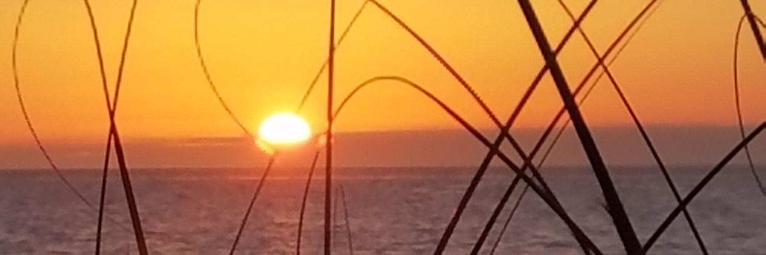 a03ce52825cd49d's profile banner image