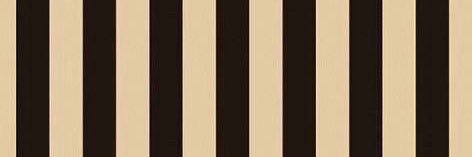 TF banner