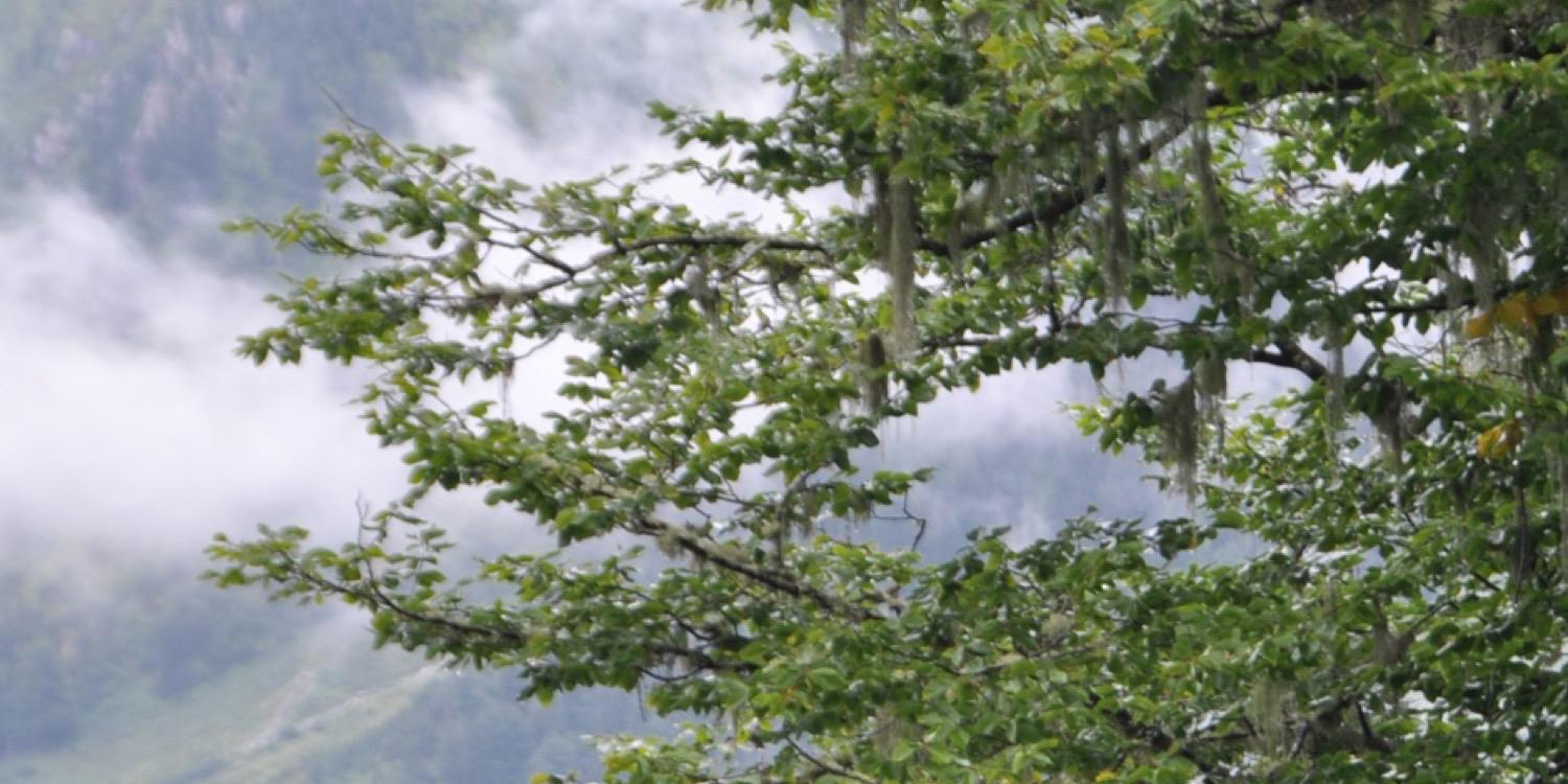 _g_acta's profile banner image