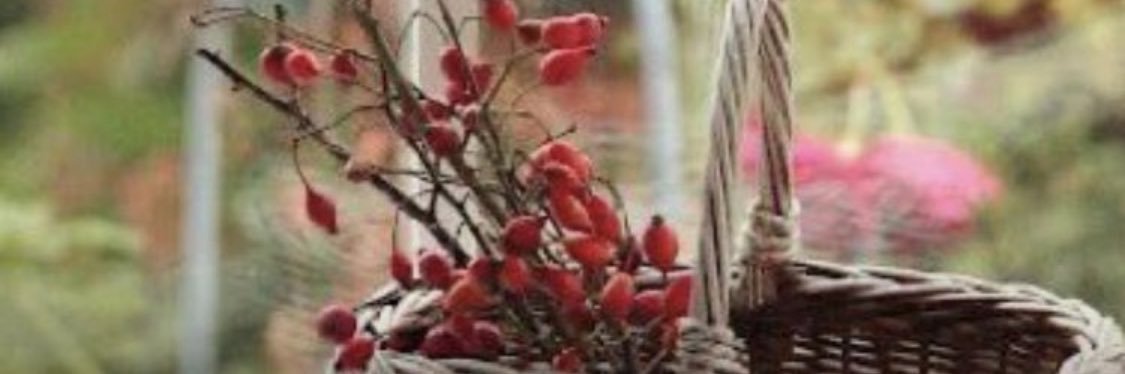 sammas477com's profile banner image