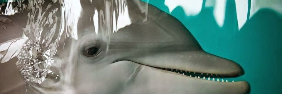 andyrobrts's profile banner image