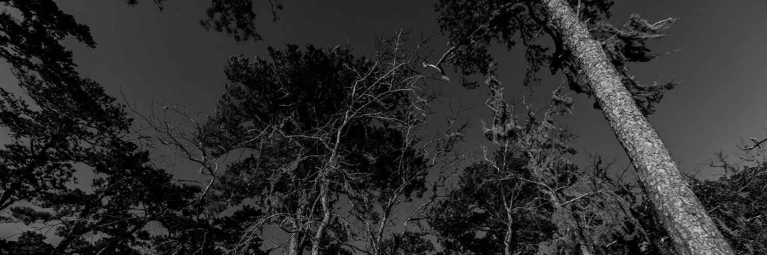 JKarlMargaritis's profile banner image