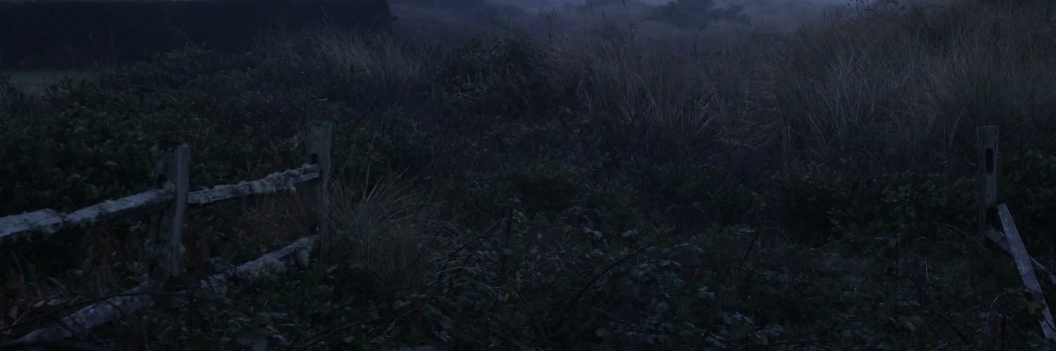 will's banner
