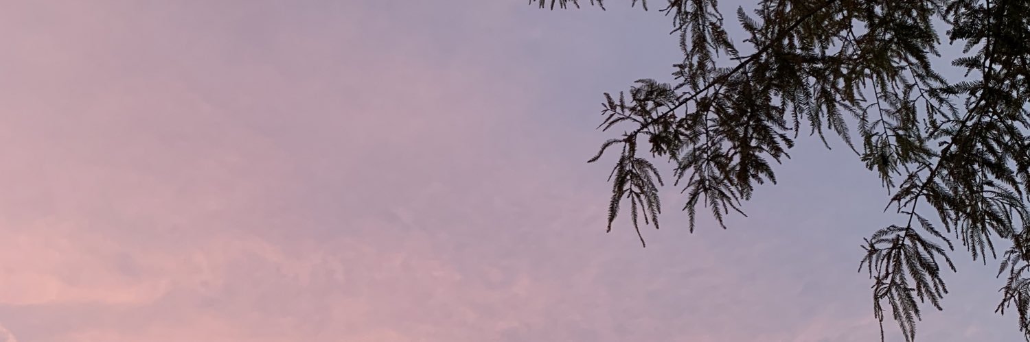 AlexxReyna's profile banner image