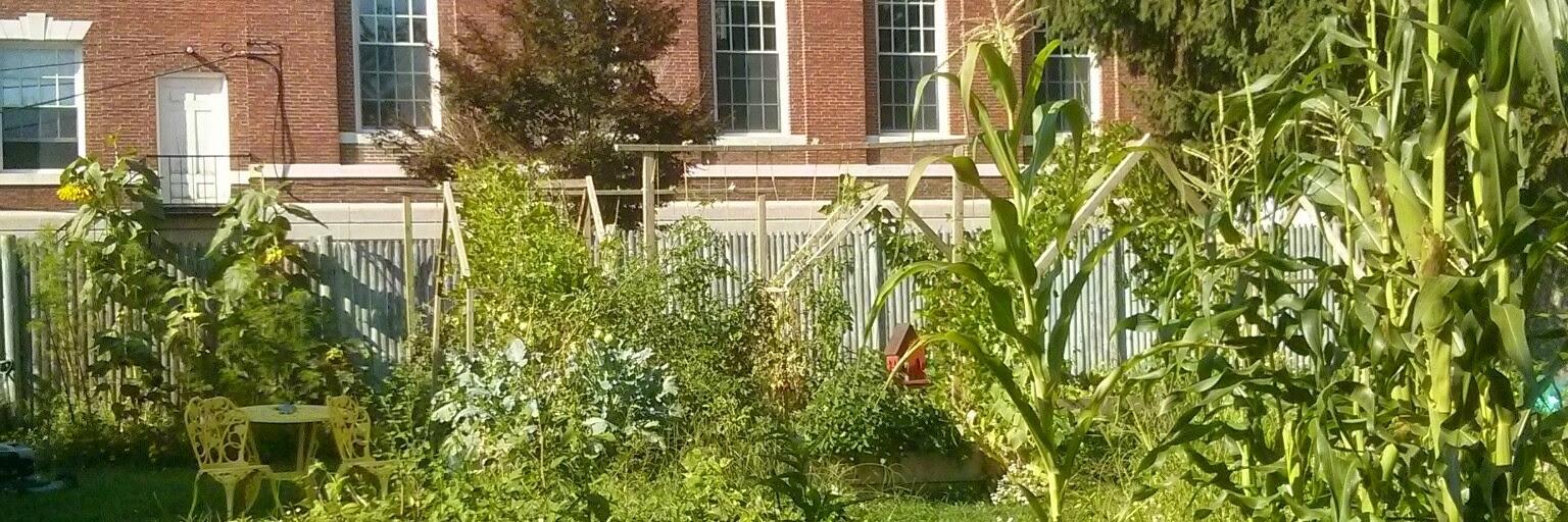 HomesteadonMain's profile banner image