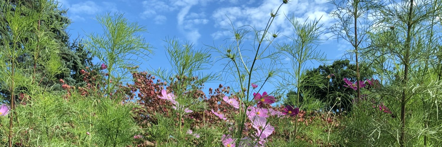 JuliaF_Jewles's profile banner image