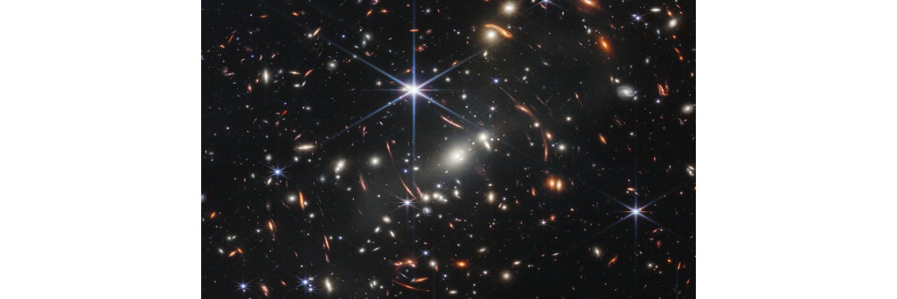 Gayle DeBruyn (she, her, hers) banner