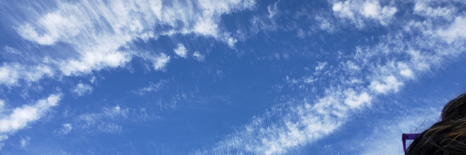 ForexLifer's profile banner image