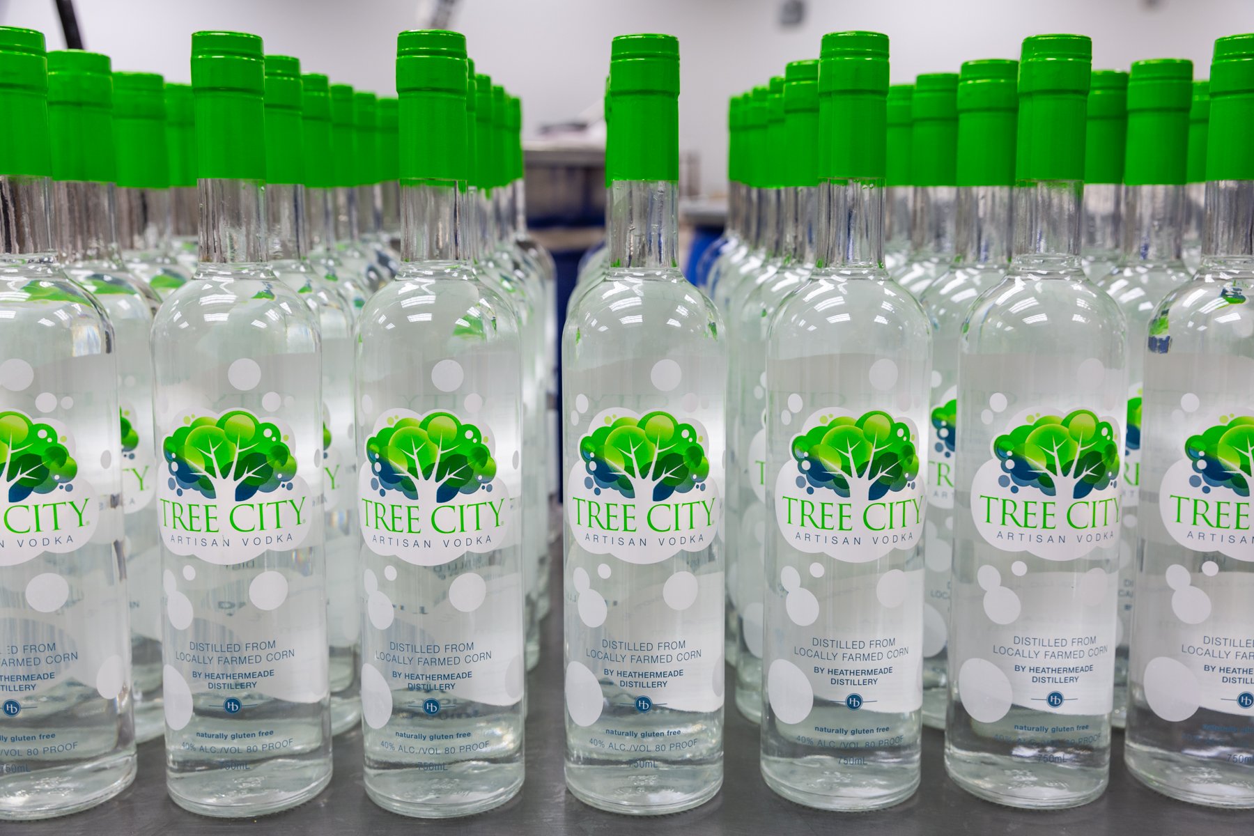 treecityspirits's profile banner image