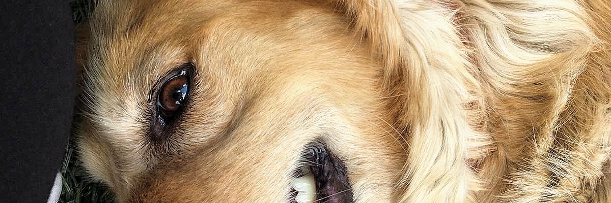 caglaaeksiii's profile banner image