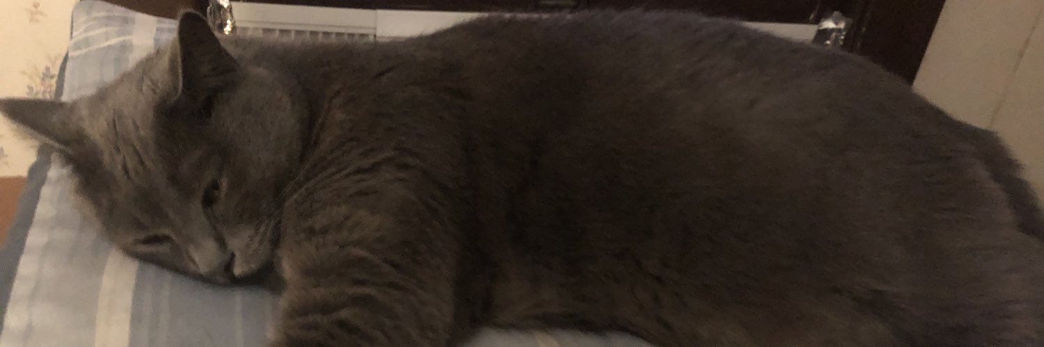 SWolsfelt's profile banner image