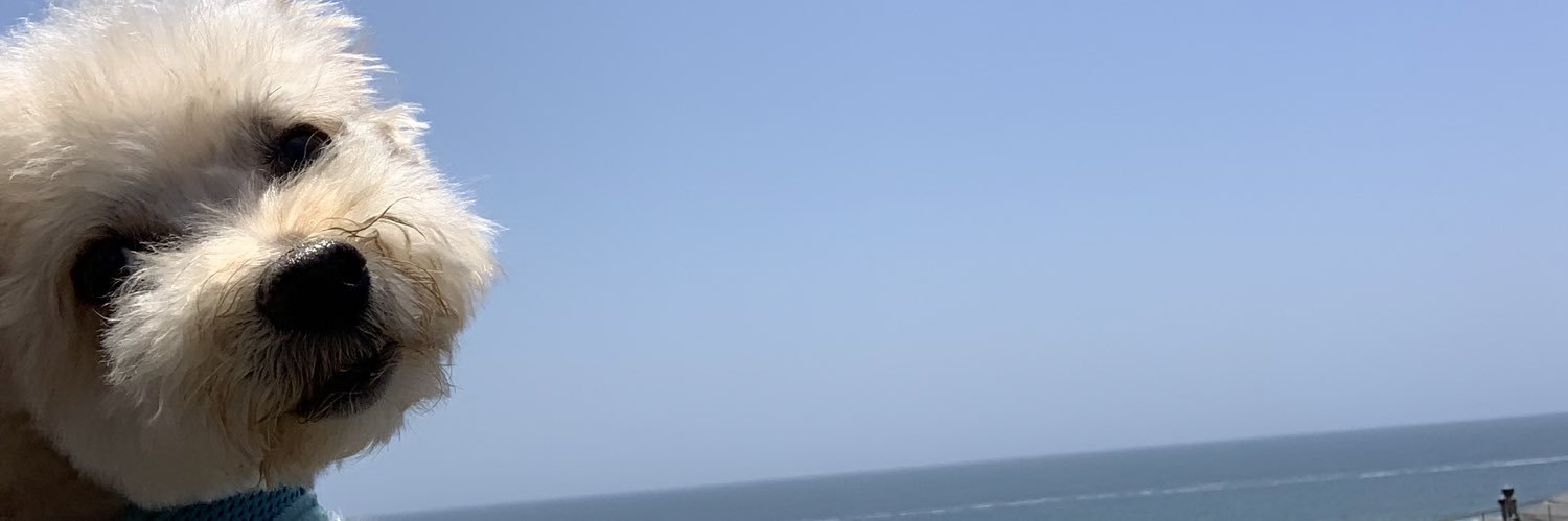 Kay136's profile banner image