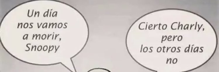 pau_borja's profile banner image