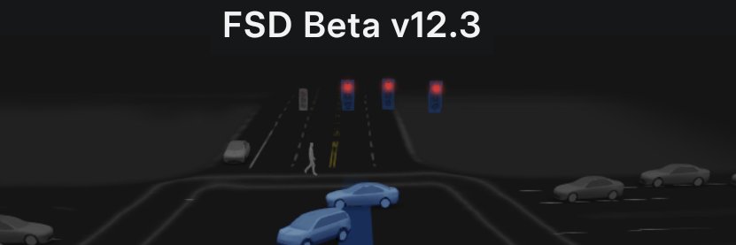 FSD (Unsupervised) banner