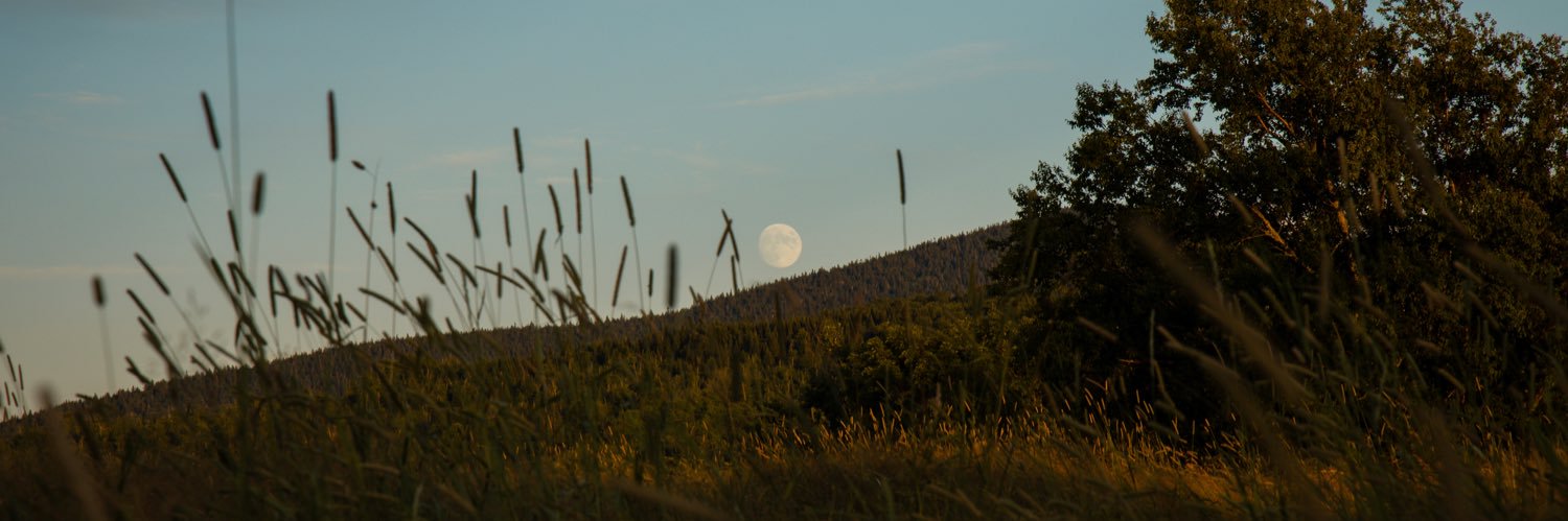 AJ_Cope's profile banner image