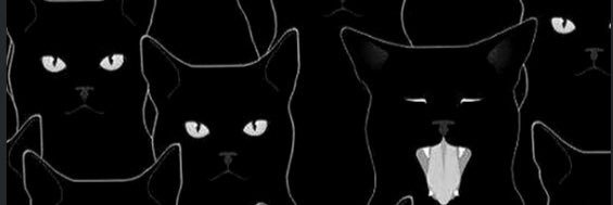 sk_hoyle's profile banner image