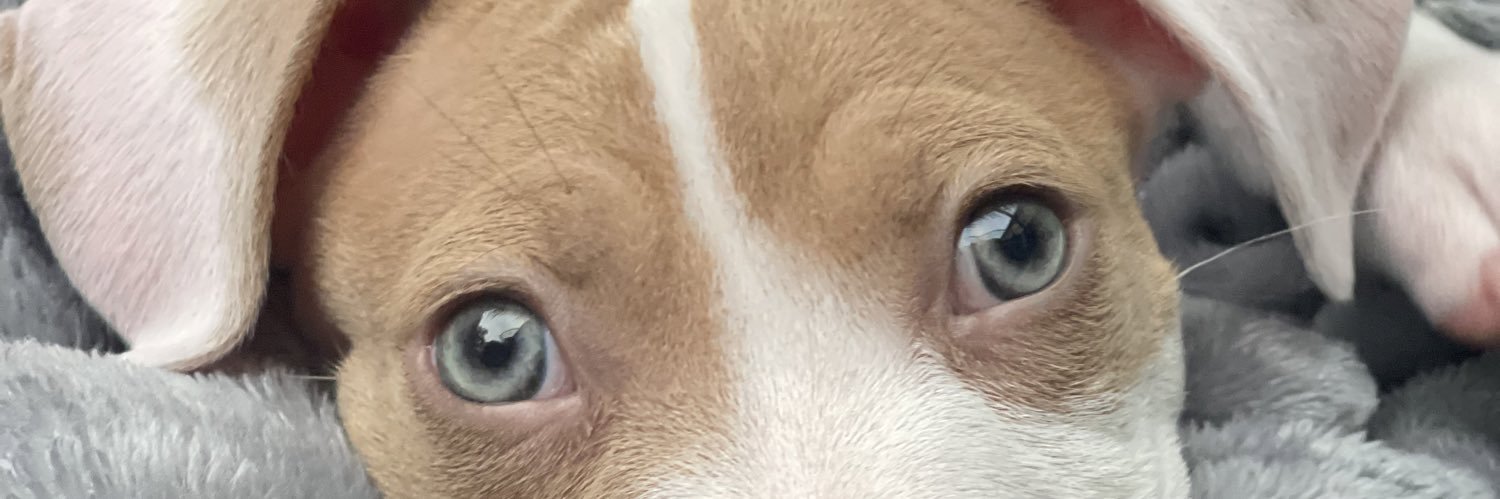 cheyennerainm's profile banner image