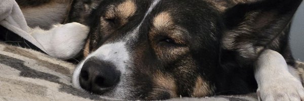 ItsJustOvis Profile Banner