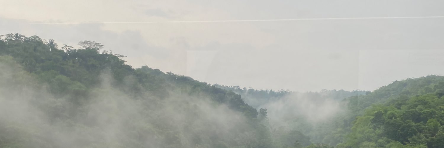 Han banner