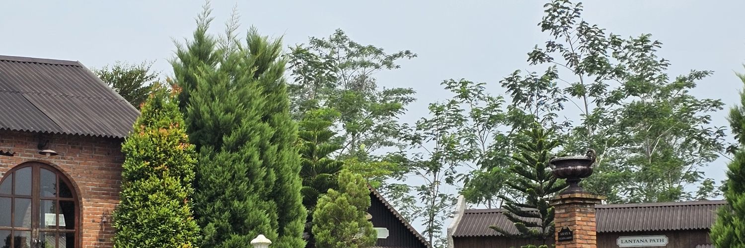 bloo00ms's profile banner image