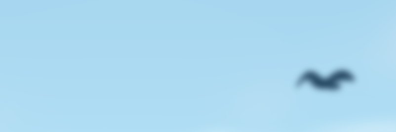 Tischotter's profile banner image
