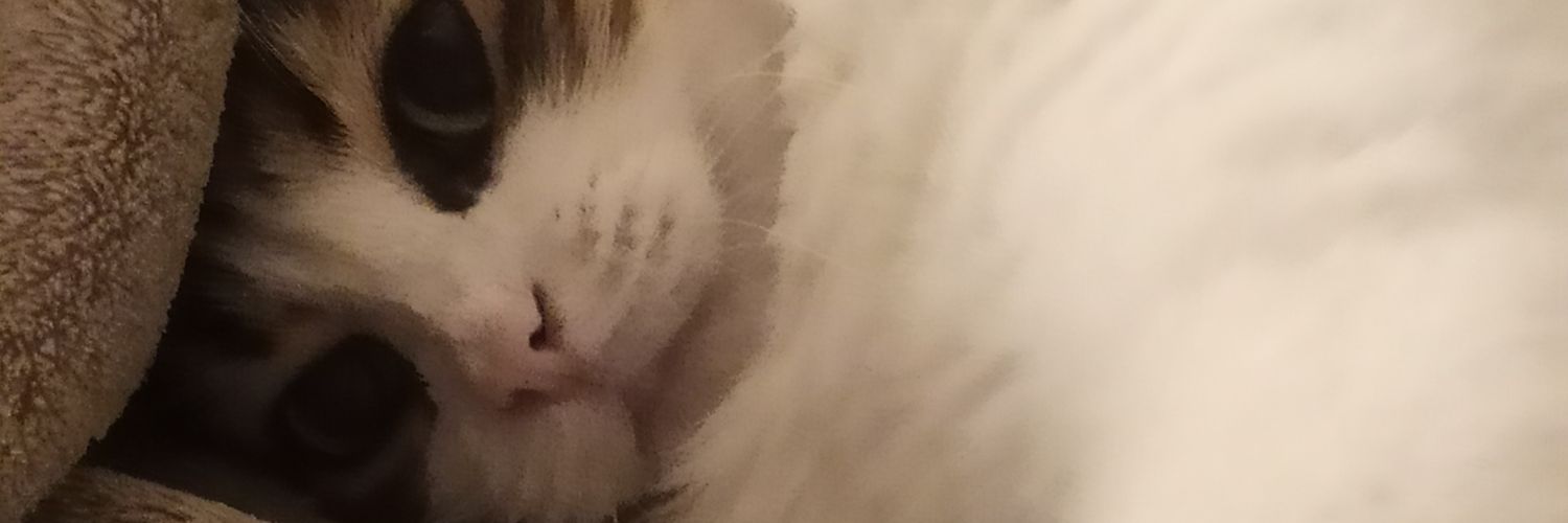 jujuf2022's profile banner image