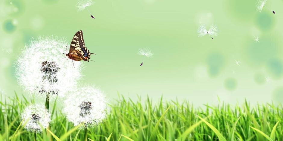 ifair ❤️ Memecoin monomi.🐻⛓️ banner