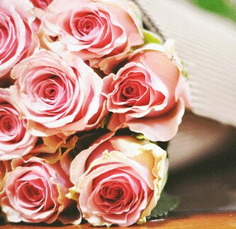Sofυ̵ .. banner