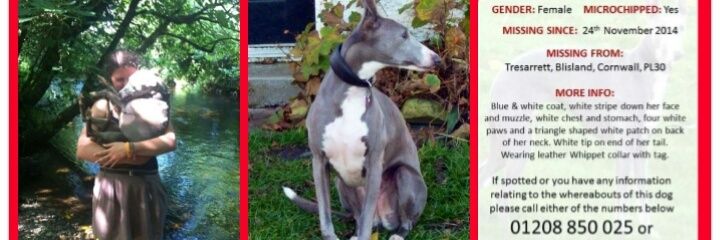 Barricade back home! banner