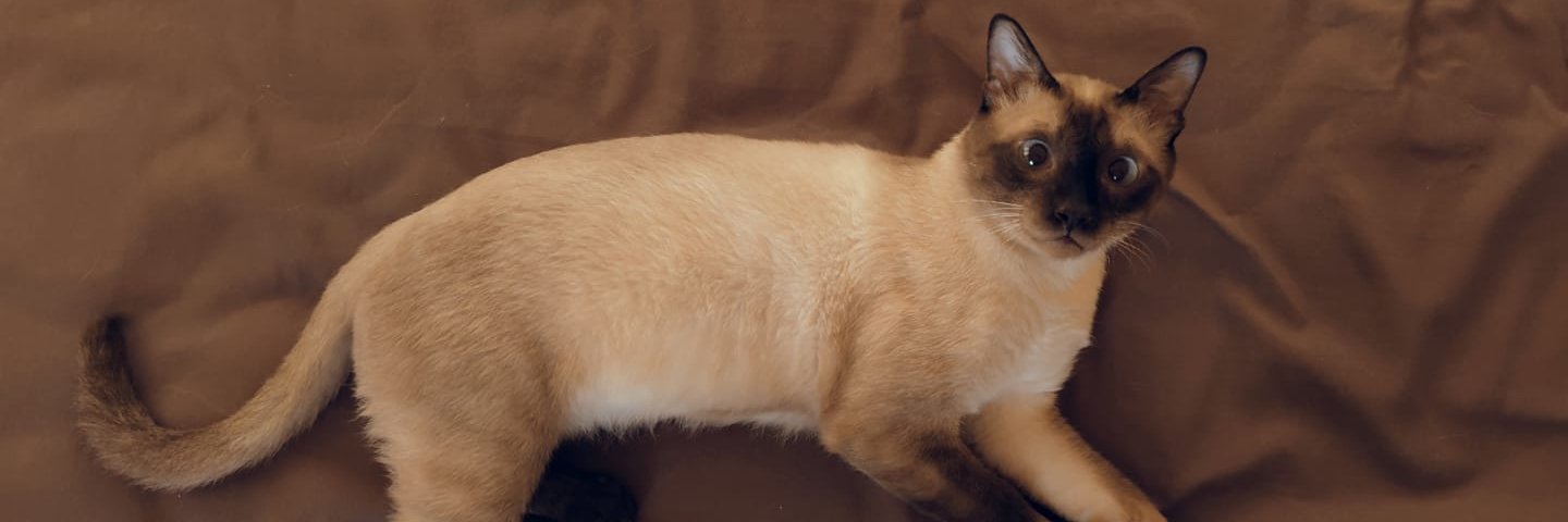 блять banner