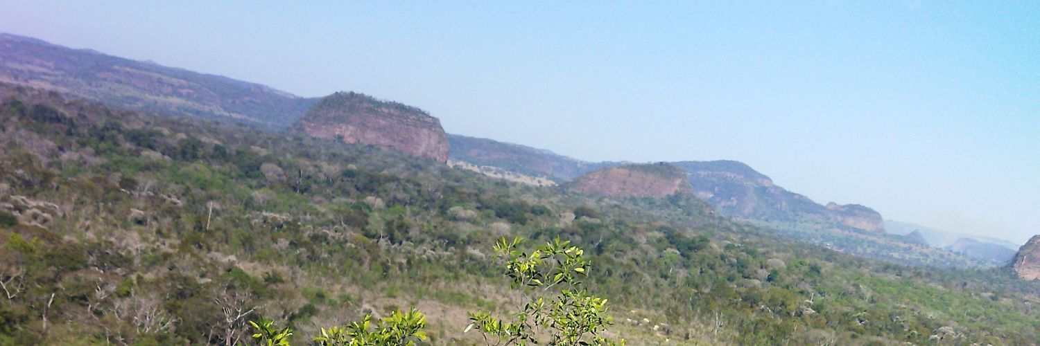 VihBaez's profile banner image