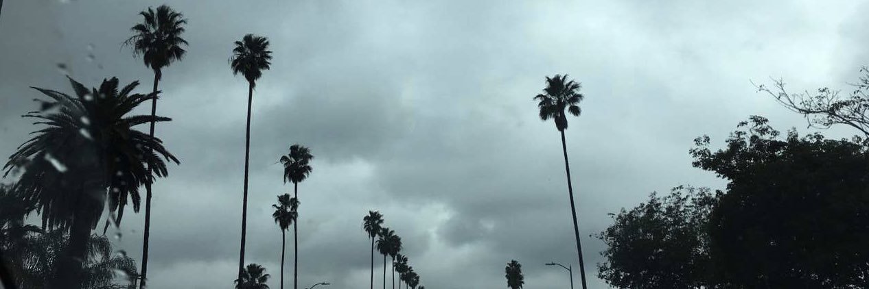 ashhberryy's profile banner image