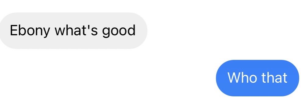 ebbony with two bees 🇵🇦 banner