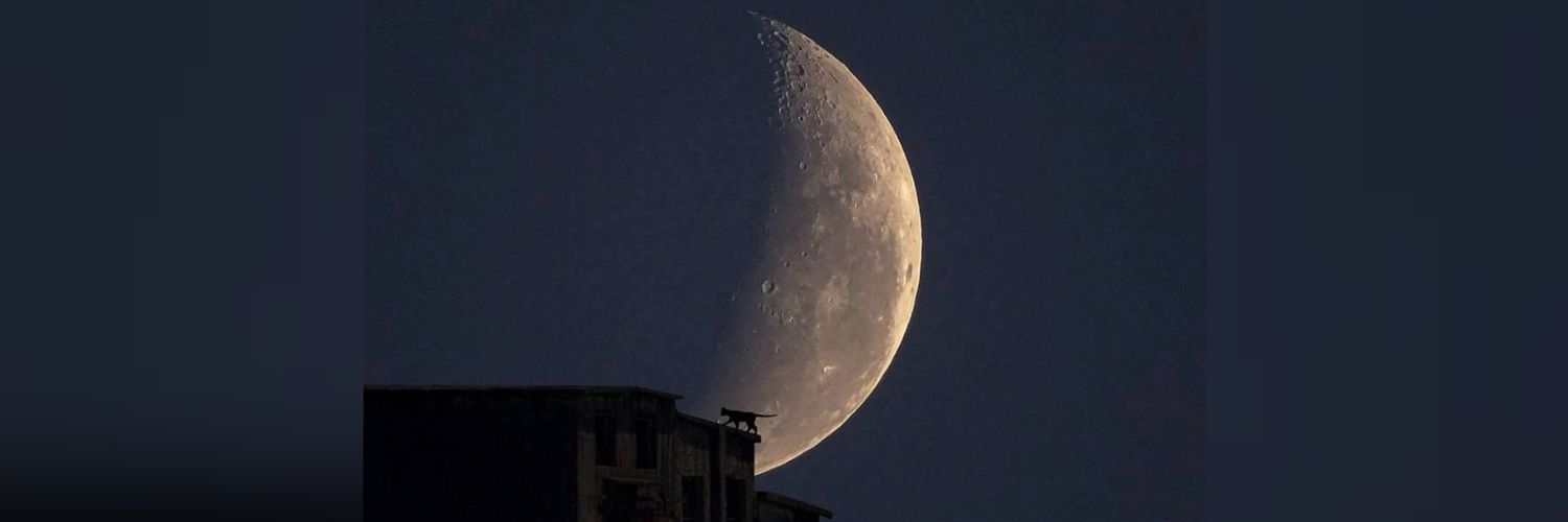 KubraAltun's profile banner image